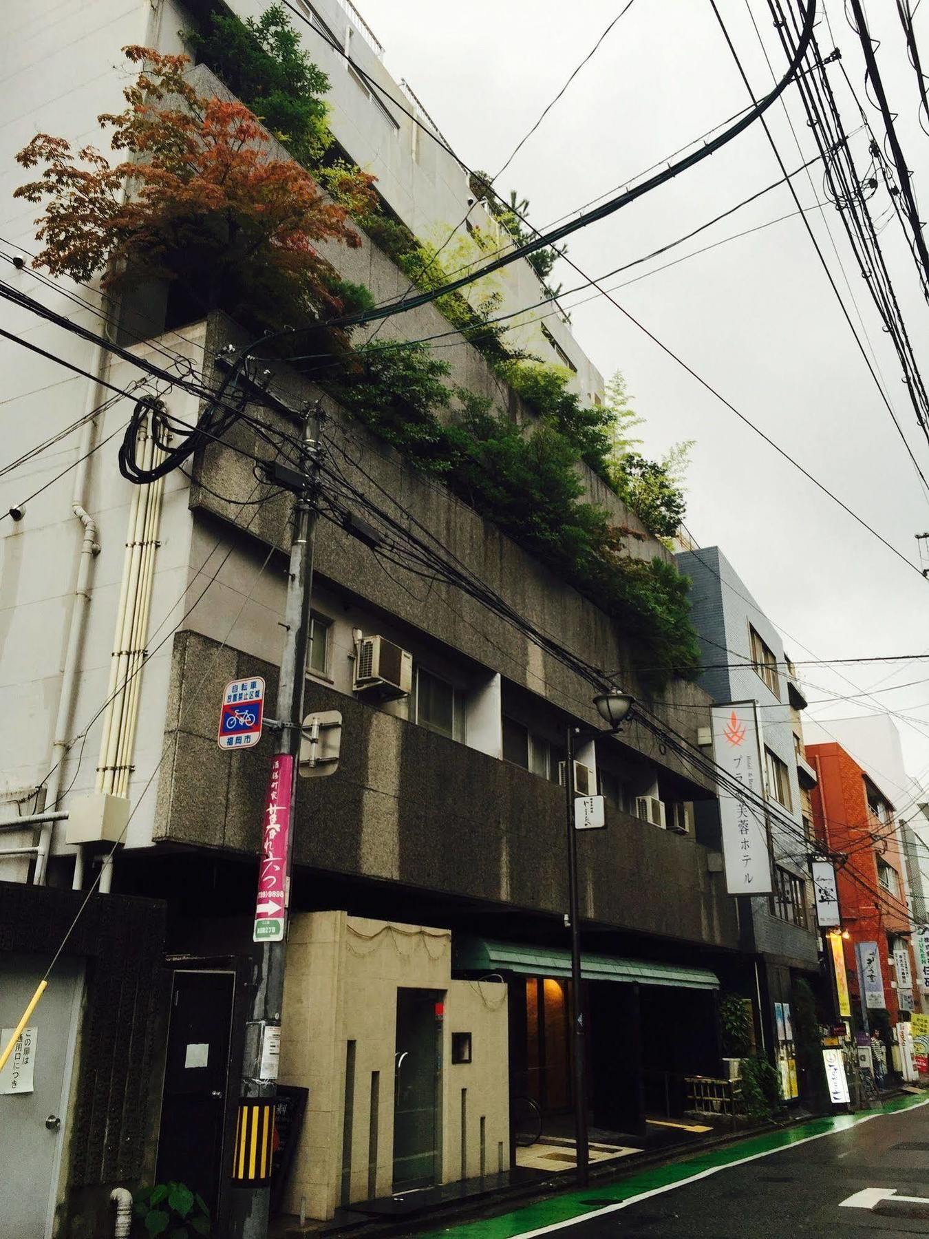 Plaza Fuyo Hotel Fukuoka  Bagian luar foto